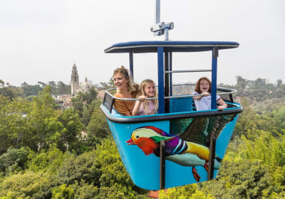 TVG TRAVEL DEALS image 3