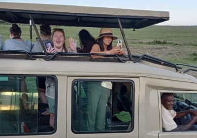simba paka safaris image 2