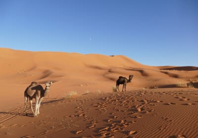 3 Days Tour from Fes to Merzouga 2