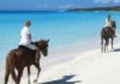 Punta Cana: Horseback Riding Through the Beautiful Beaches 2
