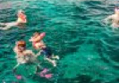 Punta Cana: Full-Day Snorkeling Tour to Catalina Island 2
