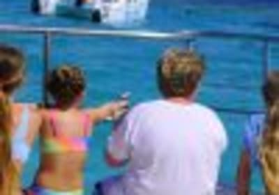 Punta Cana: Catamaran Tour with Open Bar and Reef Snorkeling 2