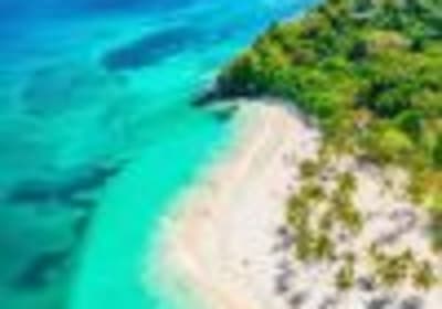 Bayahibe: Samaná and Miches Whale Watching Day Trip 2