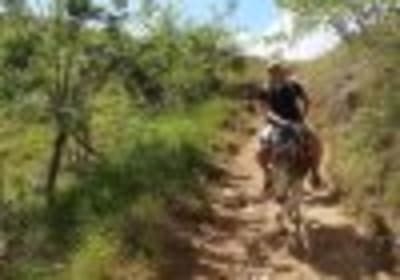 Dominican Republic: El Limón Waterfall Horseback Riding Tour 2