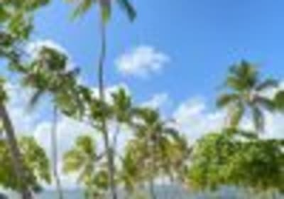 Punta Cana: Cayo Levantado & Bacardi Island Trip with Lunch 2