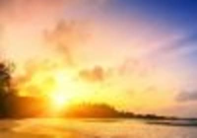 Punta Cana: Sunset Horseback Ride in Macao Beach and Forest 2