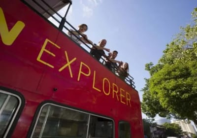 Darwin Premium Ticket: 2-Day Hop-On Hop-Off Tour by Open-Top Bus 2