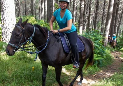 Scenic Forest and Hillside Adventure Tour 2