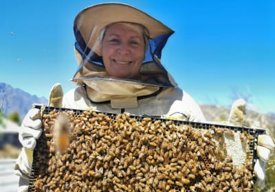 Hands-On Beekeeping and Honey Extraction Experience 2