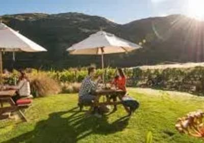 Queenstown Wine Tasting with Local Artisans 2
