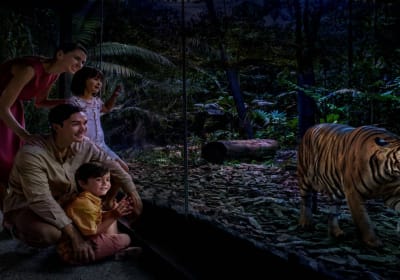 Night Safari Tickets 2