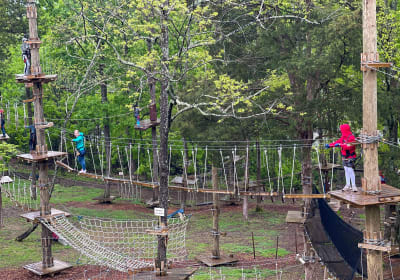 Aerial Adventure Park At Virginia Aquarium 2