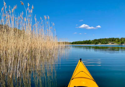 Kayak Tour in Stockholm Archipelago 2