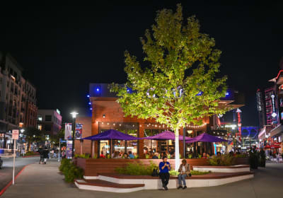 Guided Tour of Atlanta Braves' Truist Park 2