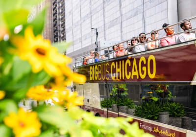Chicago Essential: 48hr Hop-On Hop-Off Sightseeing Bus Tour 2