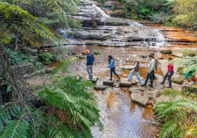 Blue Mountains Sunset & Wilderness Tour from Sydney 2