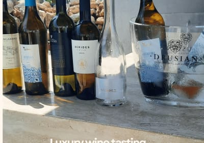 Villa Wine tasting 2