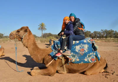BBQ & Camel ride in Agadir​ 2