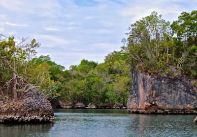 Punta Cana: Los Haitises Hike & Kayaking Mangroves 2