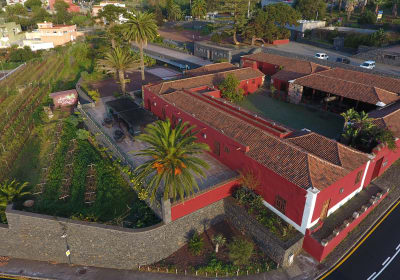 Marmajuelo - Cata de vinos de Tenerife y productos locales 2
