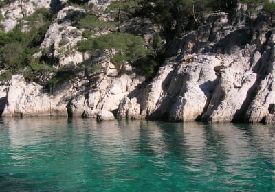 Turquoise waters and limestone cliffs of the Calanques near Cassis visited during a day trip from Aix-en-Provence