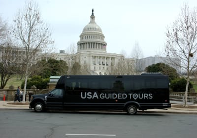 Cherry Blossoms Galore Tour 2