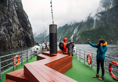 Milford Sound: Wilderness Cruise with Nature Guide 2