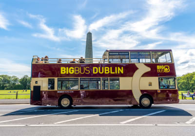 From Dublin: Half-Day Coastal Tour to Howth Village (Guided Walk and Return Transfer Included) 2