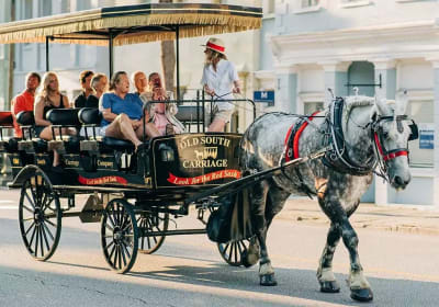 Historic Charleston Carriage Tour 2