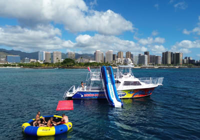 Honolulu Snorkeling & Wildlife Tour 2