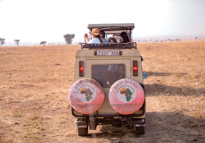 2 days Tanzania sharing budget camping safari package 2