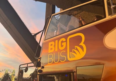 Sydney Night Tour: Live-Guided Panoramic Open-top Bus Tour 2