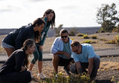 Big Island Highlights Tour: Coffee, Turtles, and Waterfall 2