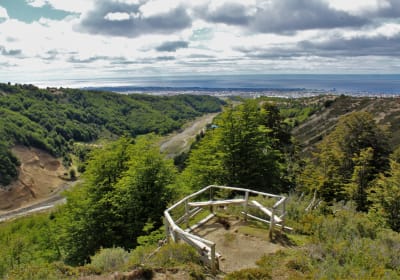 Full-Day Patagonian Forest Hiking Tour in Punta Arenas 2