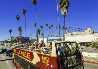 Medieval Torture Museum + 1 Day Hop-On Hop-Off Bus Tour 2
