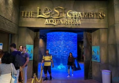 Lost Chamber Aquarium -Dubai's Underwater Adventure 2