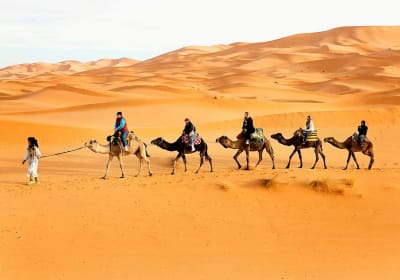 tourists riding camels across the dune sof Merzouga during the Morocco Desert Tours from Marrakech 7 Days
