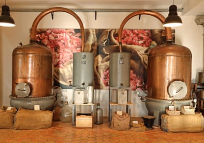 Grasse, Gourdon & villages private day trip from Cannes 2