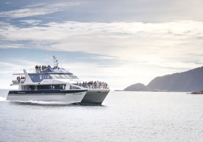 From Te Anau: Premium Doubtful Sound Coach & Cruise 2