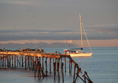 Antarctic History City Tour in Punta Arenas 2