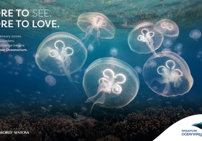 Singapore Oceanarium Admission Ticket 2