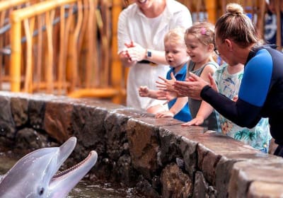 Sea World Abu Dhabi 2