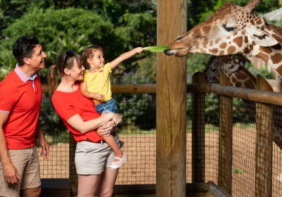 Go City San Antonio Highlights Pass: 3 Top Attractions 2