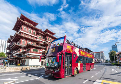 Go City Singapore Explorer Pass: Tickets to 2-7 Attractions 2