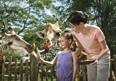 Go City Singapore Essentials Pass: Visit 3 Top Attractions 2