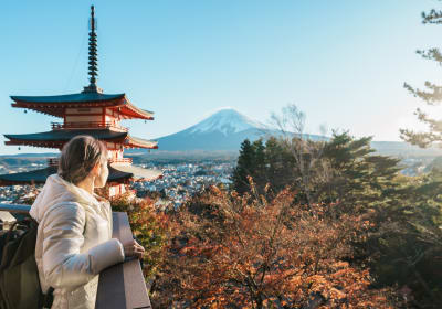 Mount Fuji & Lake Kawaguchi Small Group Day Tour from Tokyo 2