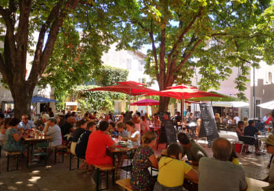 Café terrace or village square atmosphere in Provence during a small group excursion