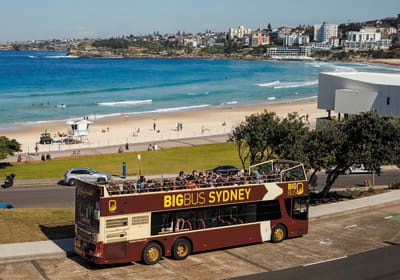Sydney Discover: 24hr Hop-On Hop-Off Sightseeing Bus Tour 2