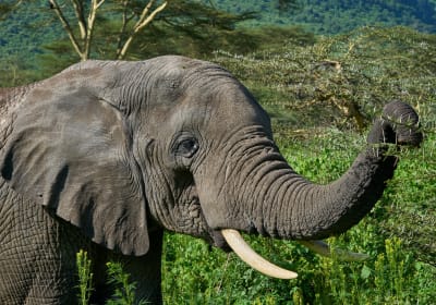 3 days group joining Tanzania safari package 2