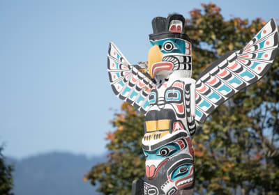 Vancouver City + Capilano Suspension Bridge Tour 2